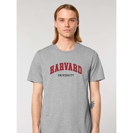 American Universities Koszulka &quot;Havard University&quot; w kolorze szarym ze sklepu Limango Polska w kategorii T-shirty męskie - zdjęcie 184217294
