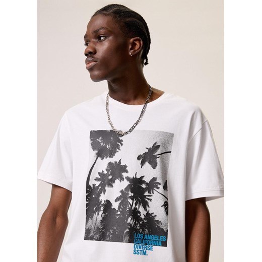 "} Diverse XXL promocyjna cena Diverse
