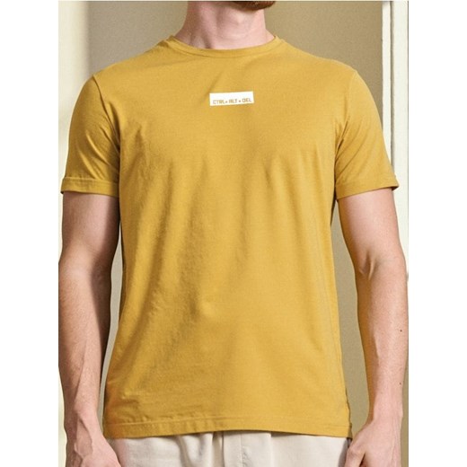 Sinsay - Koszulka - żółty ze sklepu Sinsay w kategorii T-shirty męskie - zdjęcie 184277193