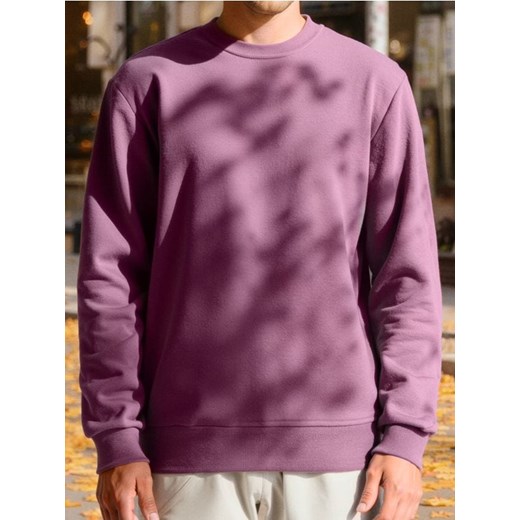 Sinsay - Bluza z długimi rękawami - fioletowy ze sklepu Sinsay w kategorii Bluzy męskie - zdjęcie 184290340