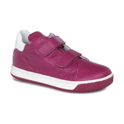 FALCOTTO Trampki Smith ze sklepu Gomez Fashion Store w kategorii Trampki dziecięce - zdjęcie 184311610