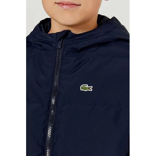 Lacoste Kurtka | Regular Fit Lacoste 152 Gomez Fashion Store okazyjna cena