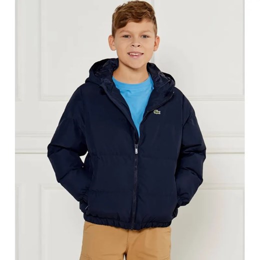 Lacoste Kurtka | Regular Fit ze sklepu Gomez Fashion Store w kategorii Kurtki dziewczęce - zdjęcie 184513661