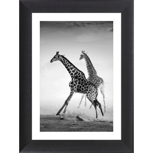 Ars Longa Druk artystyczny &quot;Running Giraffes&quot; w ramce - 70 x 50 cm ze sklepu Limango Polska w kategorii Obrazy - zdjęcie 184548634