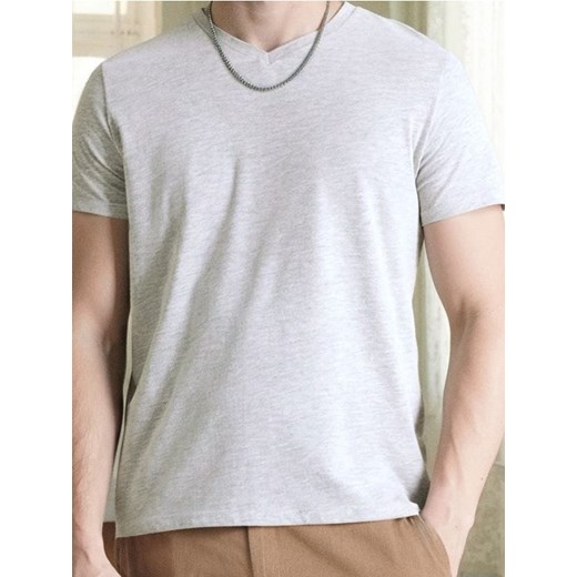 Sinsay - Koszulka - szary ze sklepu Sinsay w kategorii T-shirty męskie - zdjęcie 184574713