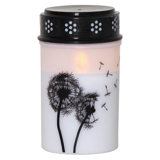 STAR Trading Znicz LED &quot;Dandelion&quot; w kolorze białym ze sklepu Limango Polska w kategorii Oświetlenie ogrodowe - zdjęcie 184628440