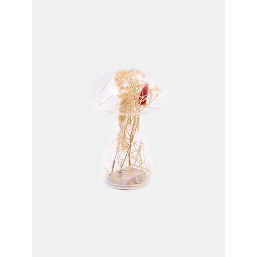Sinsay - Lampka LED w kształcie grzybka z dekoracyjnymi suszkami - beżowy Sinsay One Size Sinsay