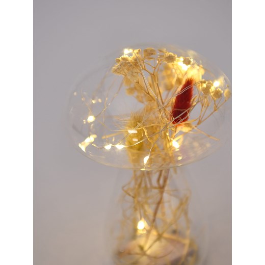 Sinsay - Lampka LED w kształcie grzybka z dekoracyjnymi suszkami - beżowy Sinsay One Size Sinsay