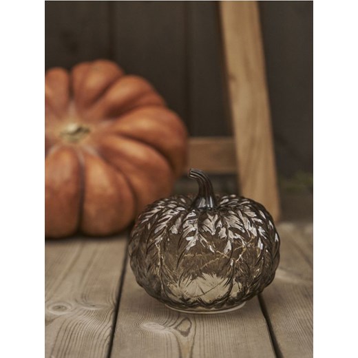 Sinsay - Lampka LED w kształcie dyni - brązowy ze sklepu Sinsay w kategorii Oświetlenie led - zdjęcie 184662732