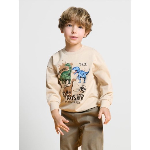 Sinsay - Bluza z dinozaurami - beżowy ze sklepu Sinsay w kategorii Bluzy chłopięce - zdjęcie 184674854