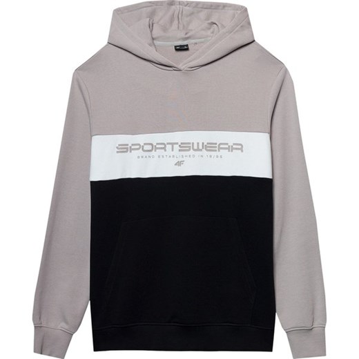 Bluza męska 4FWSS24TSWSM1032 4F ze sklepu SPORT-SHOP.pl w kategorii Bluzy męskie - zdjęcie 184701021