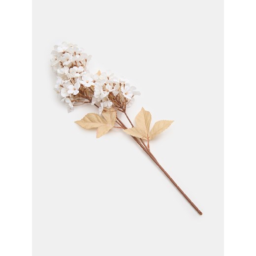 Sinsay - Roślina ozdobna - biały Sinsay One Size Sinsay