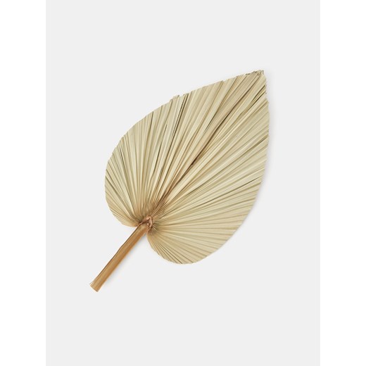 Sinsay - Roślina ozdobna - beżowy Sinsay One Size Sinsay