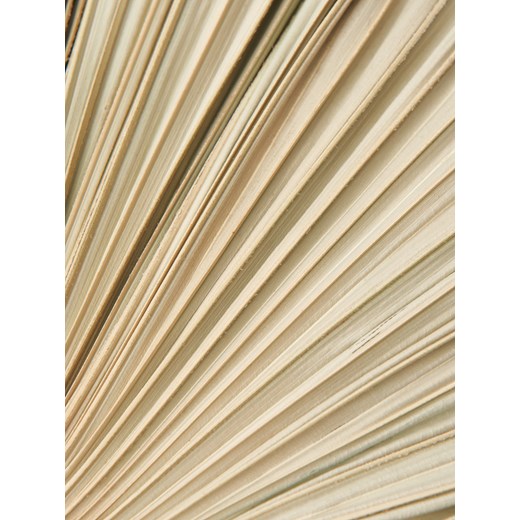 Sinsay - Roślina ozdobna - beżowy Sinsay One Size Sinsay