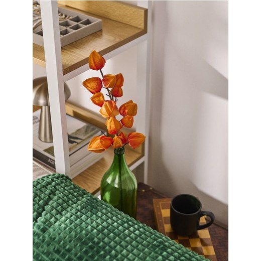 Sinsay - Roślina ozdobna w motywie jesiennym - pomarańczowy ze sklepu Sinsay w kategorii Dekoracje - zdjęcie 184778790