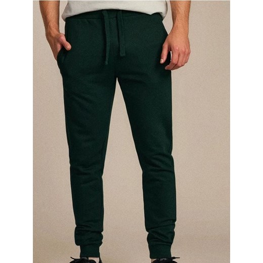 Sinsay - Spodnie jogger - zielony ze sklepu Sinsay w kategorii Spodnie męskie - zdjęcie 184809984