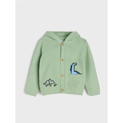 Sinsay - Sweter z kapturem - zielony ze sklepu Sinsay w kategorii Bluzy i swetry - zdjęcie 184890322