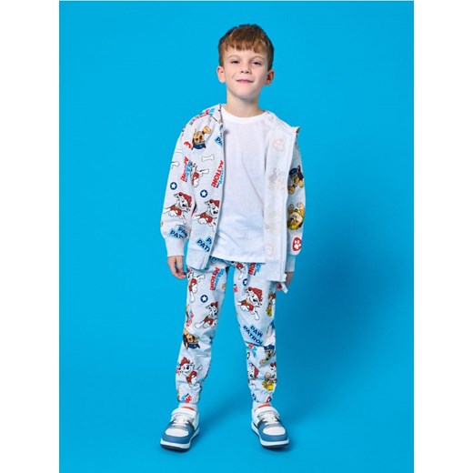 Sinsay - Spodnie Paw Patrol - szary Sinsay 116 (5-6 l) okazja Sinsay