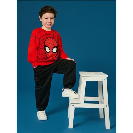 Sinsay - Bluza Spider-Man - czerwony ze sklepu Sinsay w kategorii Bluzy chłopięce - zdjęcie 184905123
