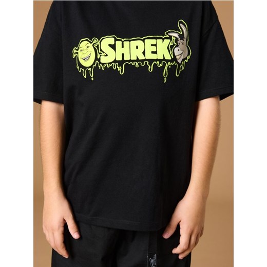 Sinsay - Koszulka Shrek - czarny ze sklepu Sinsay w kategorii T-shirty chłopięce - zdjęcie 184905131