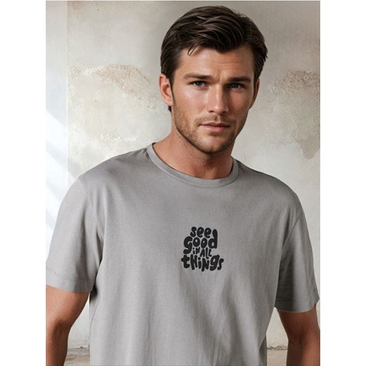 Sinsay - Koszulka - szary ze sklepu Sinsay w kategorii T-shirty męskie - zdjęcie 184934262