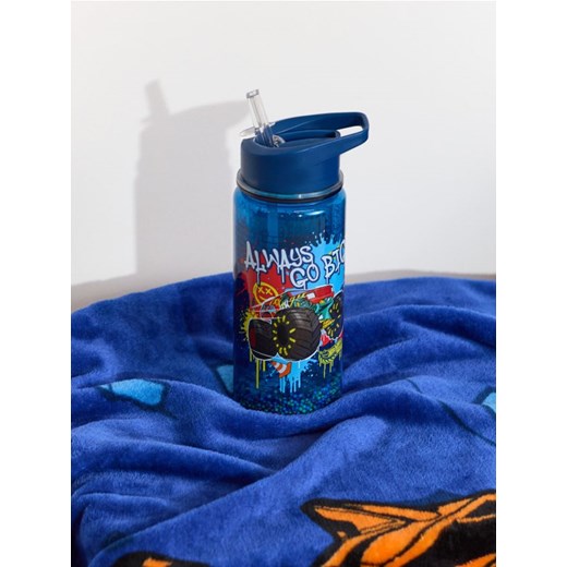 Sinsay - Bidon Hot Wheels - wielobarwny ze sklepu Sinsay w kategorii Dom - zdjęcie 185020871