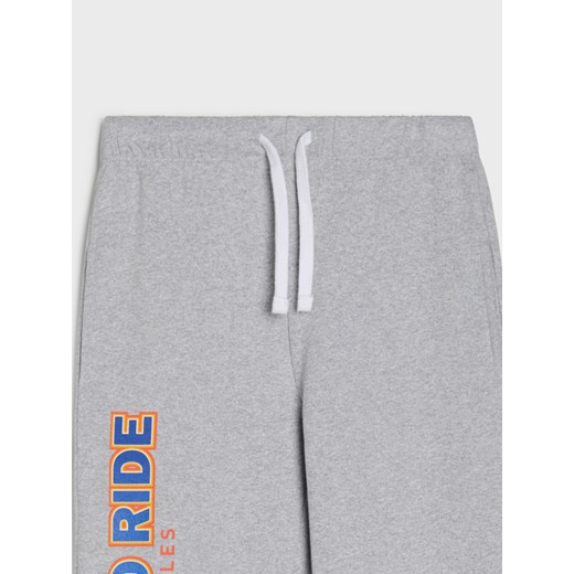 Sinsay - Spodnie z napisem - szary Sinsay 128 (7-8 l) Sinsay