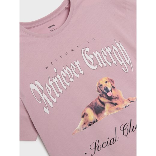 Sinsay - Bawełniana koszulka z krótkim rękawem - różowy Sinsay 158 (12-13 l) Sinsay