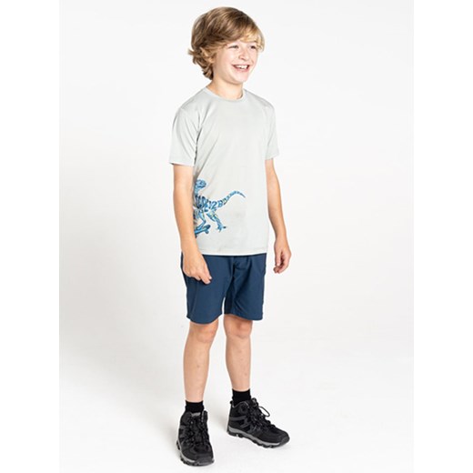 Dare 2b Koszulka funkcyjna &quot;Amuse II&quot; w kolorze szarym ze sklepu Limango Polska w kategorii T-shirty chłopięce - zdjęcie 185429531