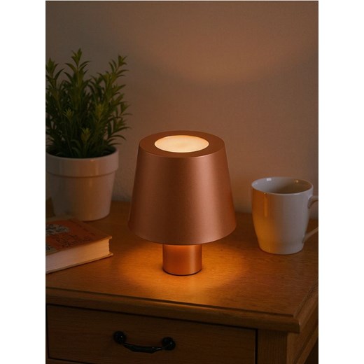 Sinsay - Lampka LED - brązowy ze sklepu Sinsay w kategorii Oświetlenie led - zdjęcie 185479574