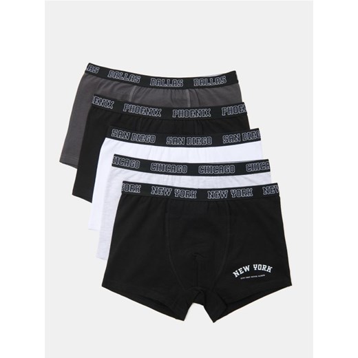 Sinsay - Bokserki 5 pack - wielobarwny - id: 659FF-MLC - marki Sinsay - 185506591 Sinsay - Bokserki 5 pack - wielobarwny ze sklepu Sinsay w kategorii Majtki dziecięce - zdjęcie 185506591