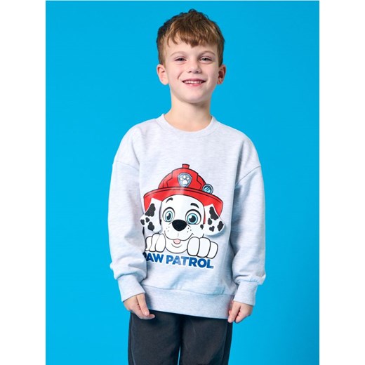 Sinsay - Bluza PAW Patrol - szary - id: 800CG-09M - marki Sinsay - 185524140 Sinsay - Bluza PAW Patrol - szary ze sklepu Sinsay w kategorii Bluzy chłopięce - zdjęcie 185524140