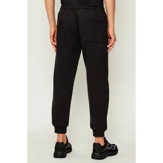 Replay Spodnie dresowe POLY | Regular Fit Replay S Gomez Fashion Store