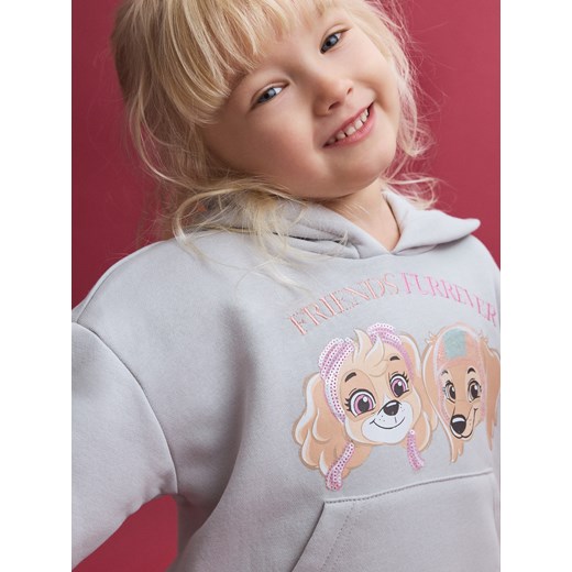 Reserved - Bluza Psi Patrol - jasnoszary Reserved 5-2 lata) Reserved