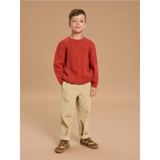 Sinsay - Strukturalny sweter ze wzorkiem - koralowy - id: 539AY-32X - marki Sinsay - 185591954 Sinsay - Strukturalny sweter ze wzorkiem - koralowy ze sklepu Sinsay w kategorii Swetry chłopięce - zdjęcie 185591954