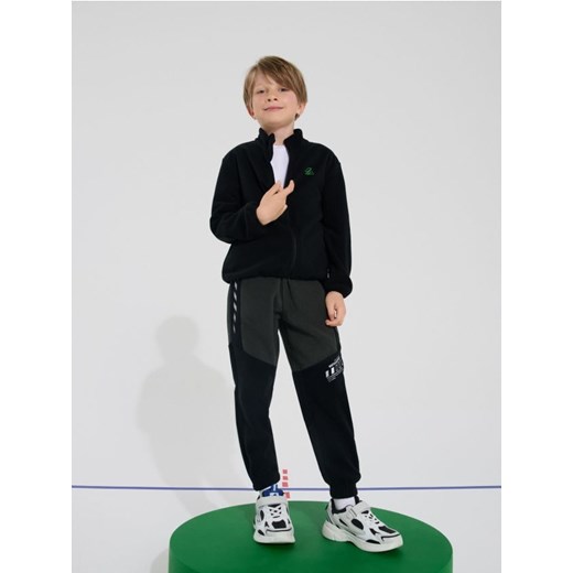 Sinsay - Spodnie polarowe Active - szary - id: 365FC-90X - marki Sinsay - 185615752 Sinsay - Spodnie polarowe Active - szary ze sklepu Sinsay w kategorii Spodnie chłopięce - zdjęcie 185615752
