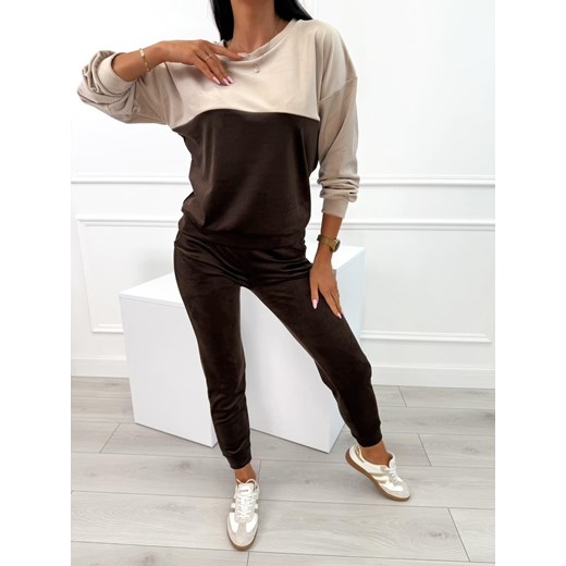 Czekoladowo-Beżowy Welurowy Komplet - id: 23069451 - marki Modnakiecka.pl - 185726060 Czekoladowo-Beżowy Welurowy Komplet ze sklepu ModnaKiecka.pl w kategorii Dresy damskie - zdjęcie 185726060