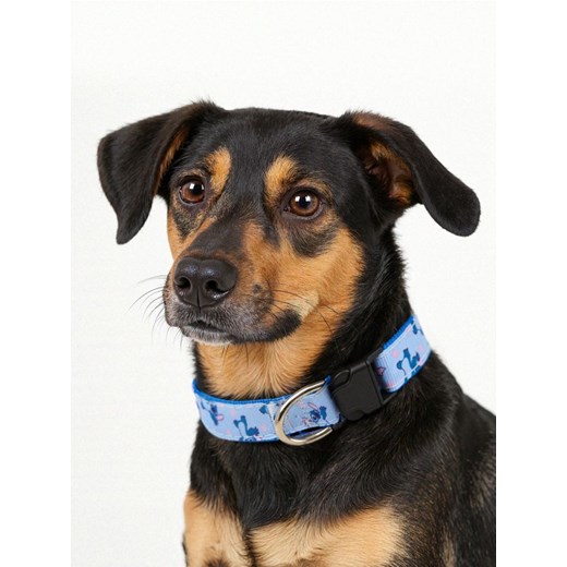 Sinsay - Obroża dla zwierząt Stitch - błękitny Sinsay One Size Sinsay