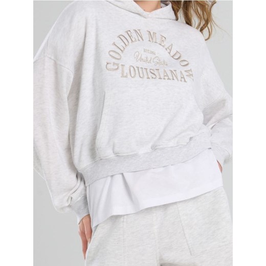 Sinsay - Bluza hoodie z haftowanym napisem - szary ze sklepu Sinsay w kategorii Bluzy damskie - zdjęcie 185804214