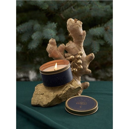Sinsay - Świeczka Juniper Berries - granatowy ze sklepu Sinsay w kategorii Dom - zdjęcie 185804220