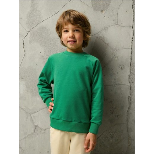 Sinsay - Bluza - zielony ze sklepu Sinsay w kategorii Bluzy chłopięce - zdjęcie 185811634