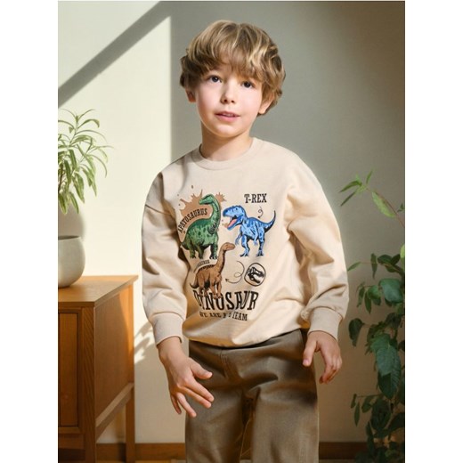 Sinsay - Bluza z dinozaurami - beżowy ze sklepu Sinsay w kategorii Bluzy chłopięce - zdjęcie 185828100