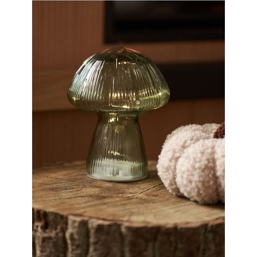 Sinsay - Lampka LED w kształcie grzyba - zielony ze sklepu Sinsay w kategorii Oświetlenie led - zdjęcie 185894450