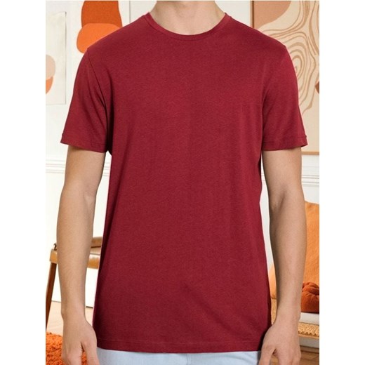 Sinsay - Koszulka - czerwony ze sklepu Sinsay w kategorii T-shirty męskie - zdjęcie 185894990