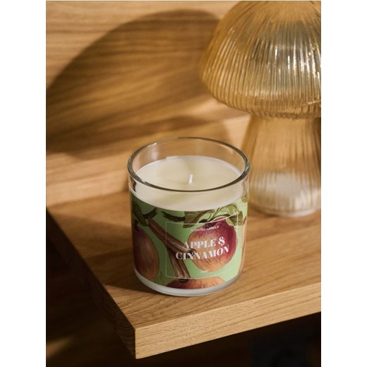 Sinsay - Świeczka Apple & Cinnamon - fioletowy ze sklepu Sinsay w kategorii Dom - zdjęcie 185895231