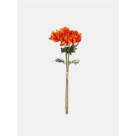 Sinsay - Roślina ozdobna - chryzantema 2 pack - pomarańczowy ze sklepu Sinsay w kategorii Dom - zdjęcie 185895480