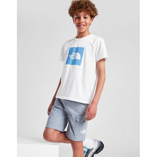 THE NORTH FACE SZORTY TRISHULL SHORT TW.GREY B The North Face 10YRS JD Sports okazja