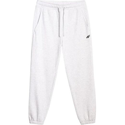 Spodnie dresowe męskie TTROM1140 4F ze sklepu SPORT-SHOP.pl w kategorii Spodnie męskie - zdjęcie 186014801