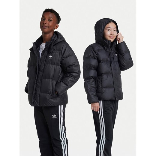adidas Kurtka puchowa adicolor IY7498 Czarny Regular Fit - id: 0000305434210 - marki adidas - 186031114 adidas Kurtka puchowa adicolor IY7498 Czarny Regular Fit ze sklepu MODIVO w kategorii Kurtki chłopięce - zdjęcie 186031114
