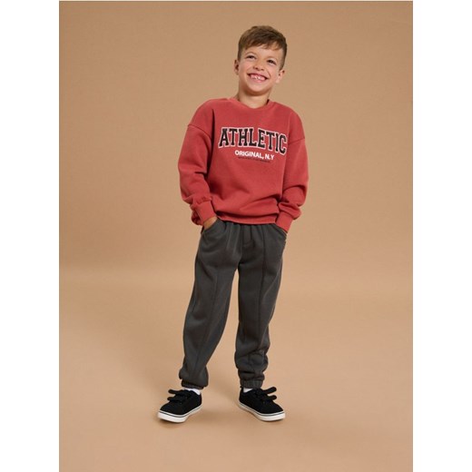 Sinsay - Spodnie jogger ze ściągaczami - szary - id: 023FT-90X - marki Sinsay - 186081740 Sinsay - Spodnie jogger ze ściągaczami - szary ze sklepu Sinsay w kategorii Spodnie chłopięce - zdjęcie 186081740